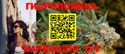 гидропоника Ликино-Дулёво
