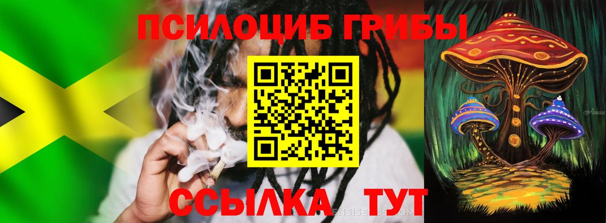 Галлюциногенные грибы мицелий  Псилоцибиновые грибы Cubensis  Фурманов  Вход с VPN 